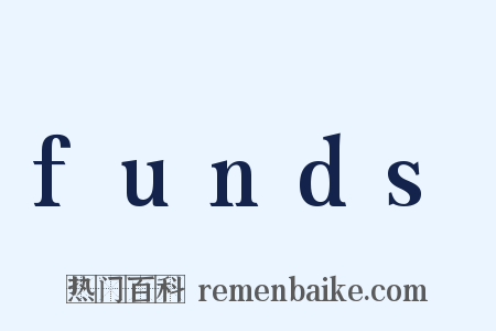 funds是什么意思的图片